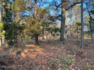 15181 Elmore Road, Laurel Hill, NC, 28352