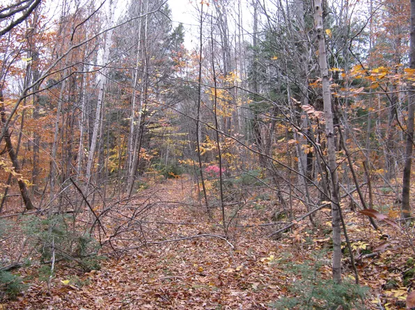 Map 04 Lot 05 Greenwood Road, Peru, ME 04290
