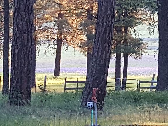 View from kitchen window spr