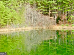 41 Golden Delicious Rd, Clarkesville, GA 30523