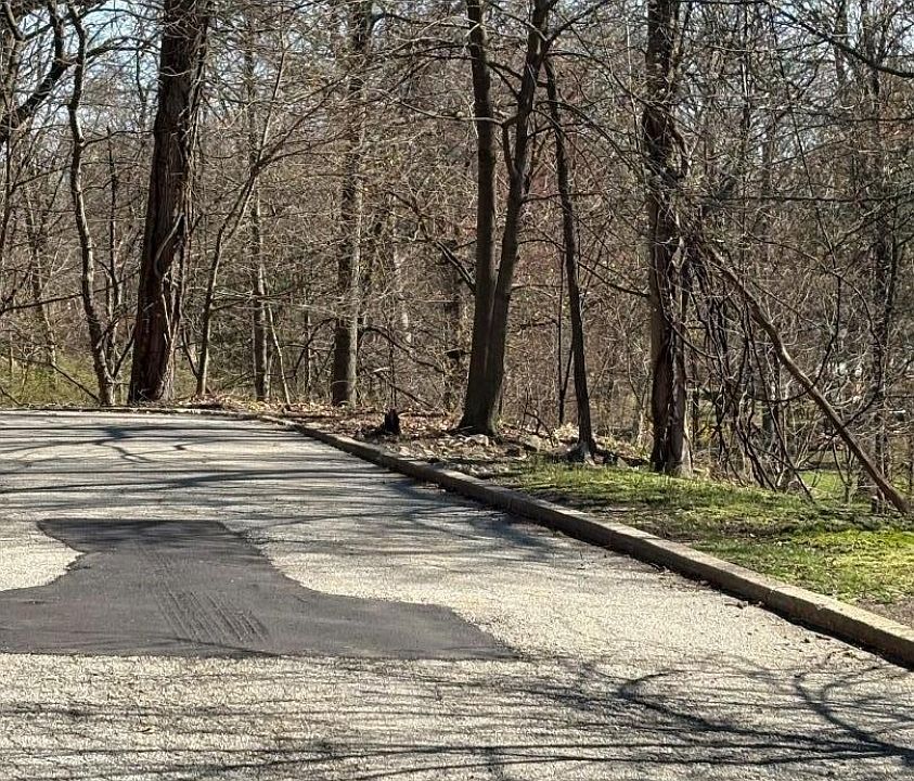 1st image of 38 Dalewood Rd
