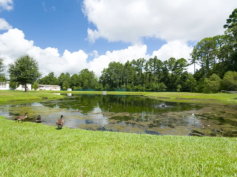 Woodland Estates (FL) — Photo 59