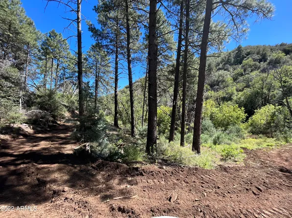 00 S Alexandra Road #-, Crown King, AZ 86343