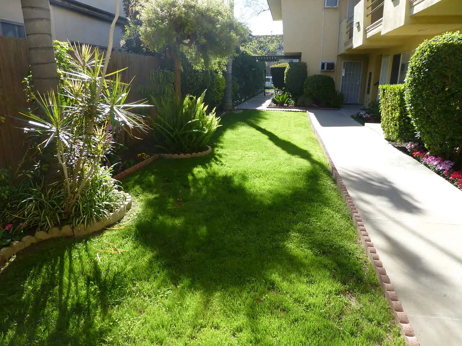 1 bed, $1,695 — Photo 2