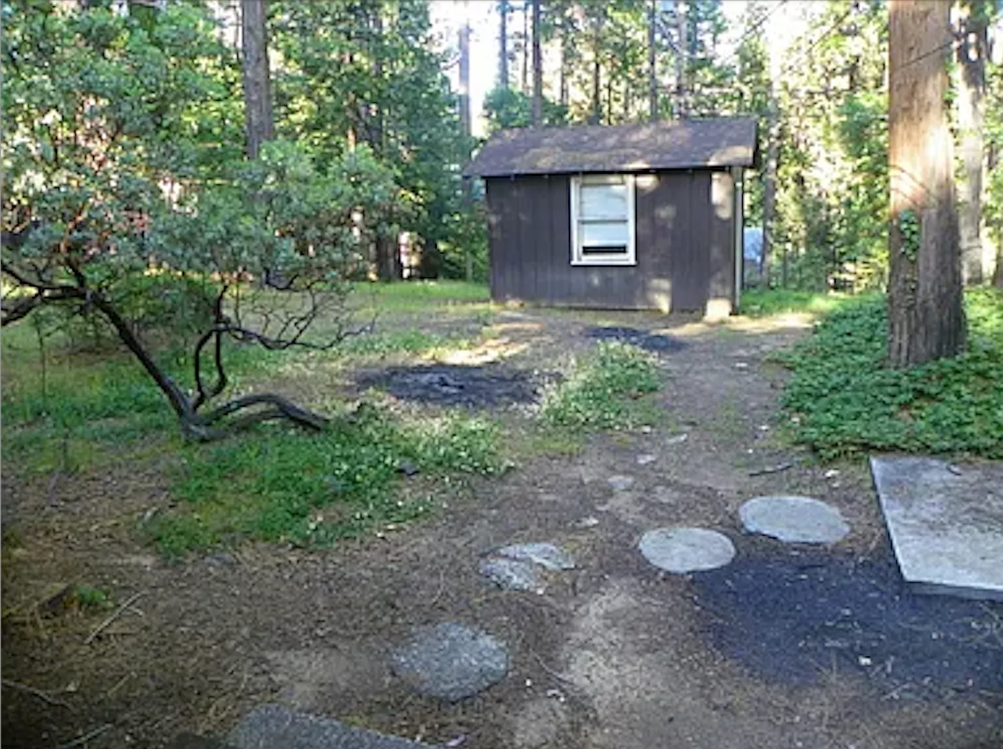 3 bed, 1.5 bath, 1056 sqft, $1,800 — Photo 3