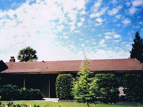 Front yard