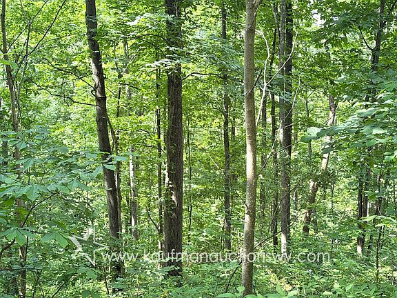 3rd image of County Road 20