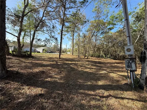 6479 W Holiday St, Homosassa, FL 34446
