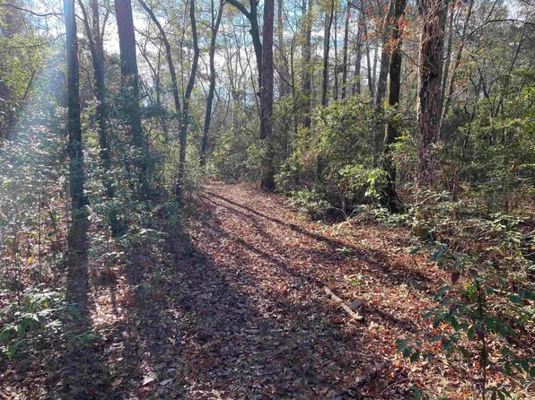 Ashville Highlands Dr, Greenville, FL 32331