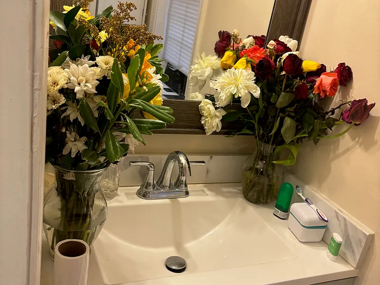 1st floor powder room