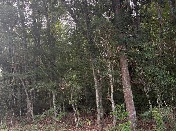 Alcide Cir, Abbeville, LA 70510