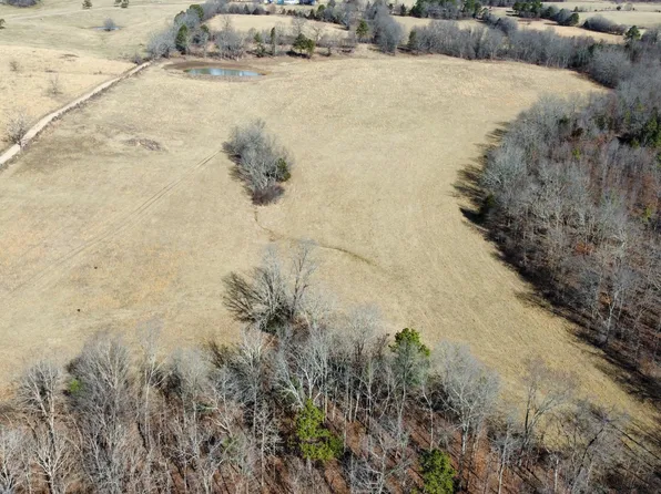 Tract #1 County Road Ww-A, Summersville, MO 65571