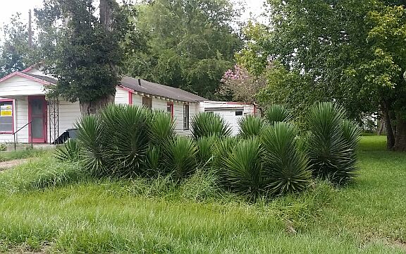 3rd image of 3303 Nolan Ave