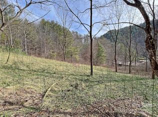 2182B Meadow Fork Rd, Hot Springs, NC 28743