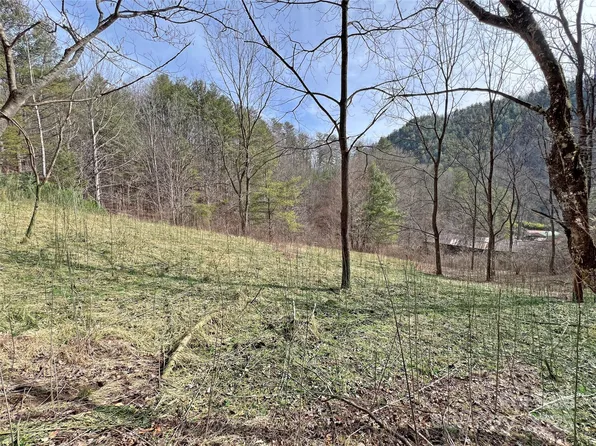 2182B Meadow Fork Rd, Hot Springs, NC 28743