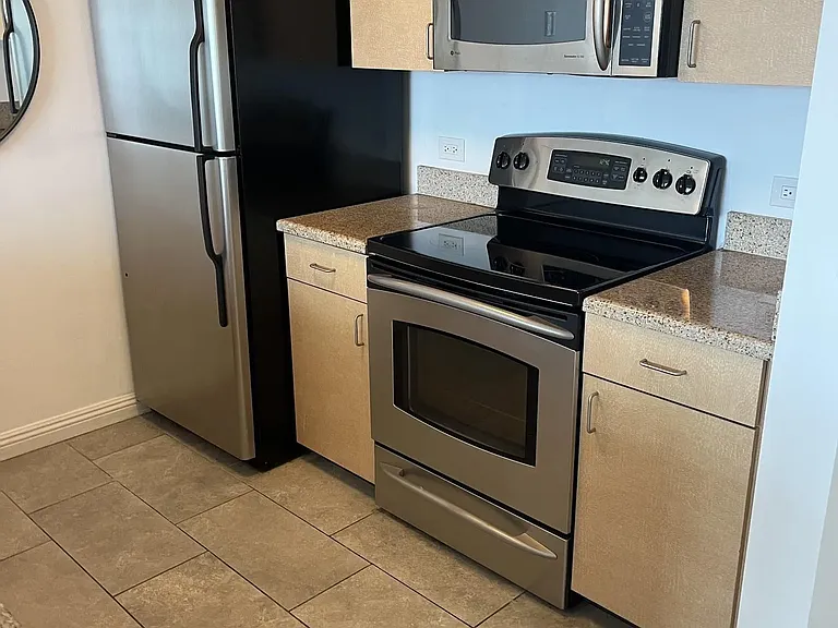425 W Beech St #1556 — Photo 13