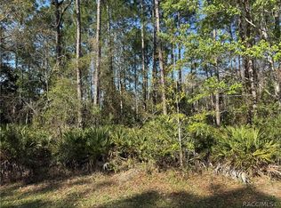 22 Mangrove Ct N, Homosassa, FL 34446