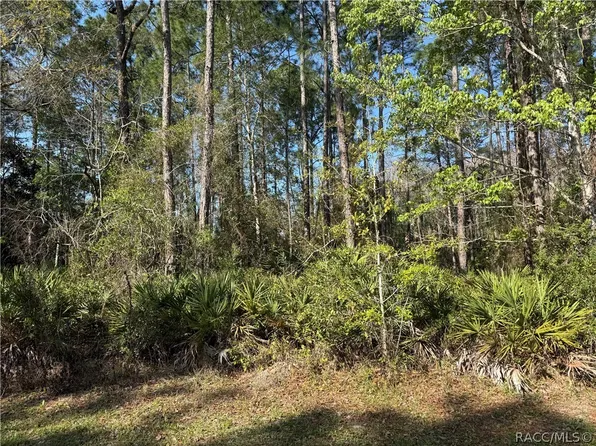 22 Mangrove Ct N, Homosassa, FL 34446