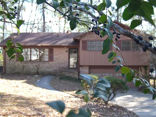 2262 Locke Cir Photo 1