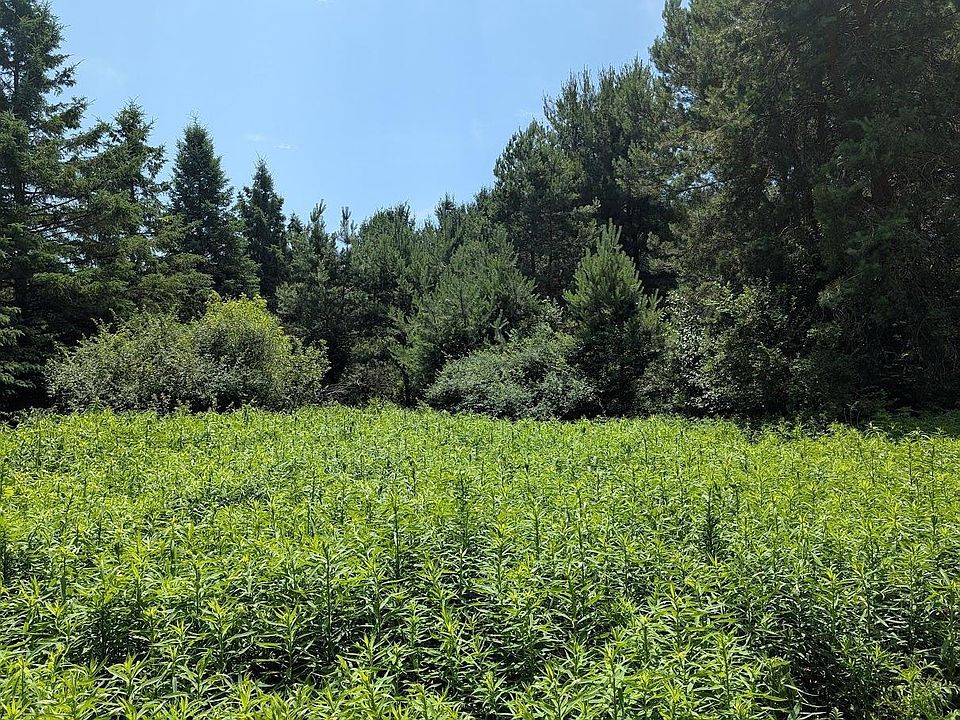 2nd image of DIANA CIRCLE DRIVE Lot 4