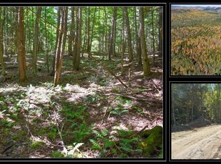 72 Carriage Knolls Rd, Chestertown, NY 12817