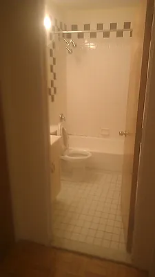 Rented by DAF Properties | media 41