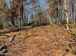 E Shore Dr, Rockwood, TN 37854