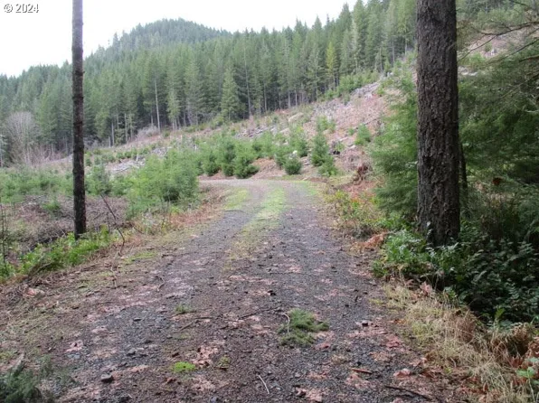 0 Quartzville Dr, Sweet Home, OR 97386