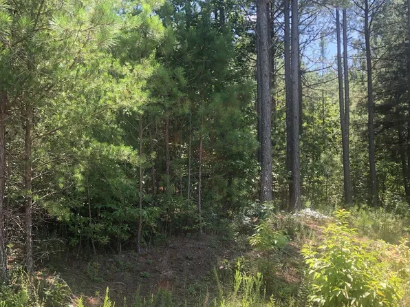 37 Loftis Mountain Way, Blairsville, GA 30512