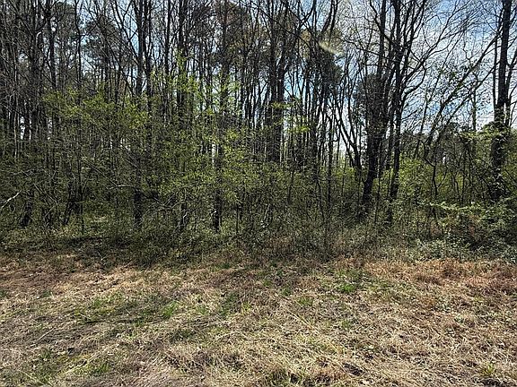 2nd image of 10 Sutton Rd Lot A