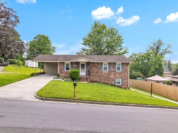 206 S Park St, Marion, VA 24354