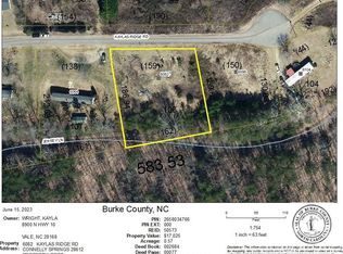 6082 Kaylas Ridge Rd #106, Connelly Springs, NC 28612