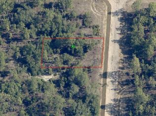 6659 N Northvale Ter #2, Dunnellon, FL 34433