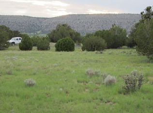 53647 N La Plata Dr, Seligman, AZ 86337