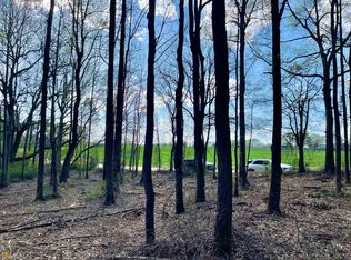 LOT 1 Old Bowersville Rd, Canon, GA 30520