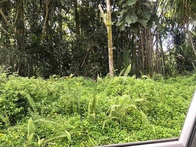 Oio St LOT 1455, Pahoa, HI, 96778