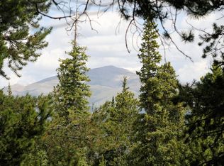 141 Gold Trail Cutoff, Fairplay, CO 80440