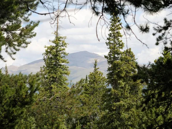 141 Gold Trail Cutoff, Fairplay, CO 80440