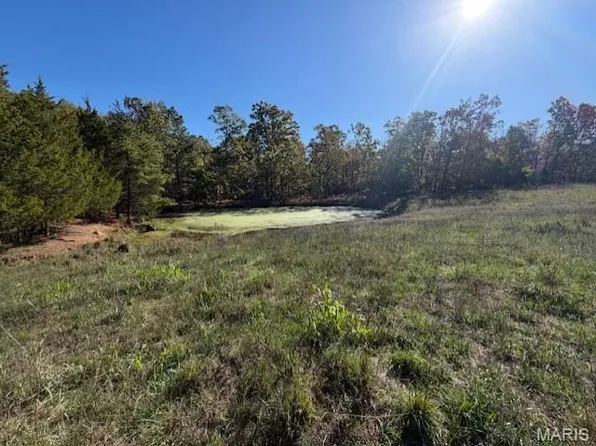 0 S County Rd #266, Grandin, MO 63943