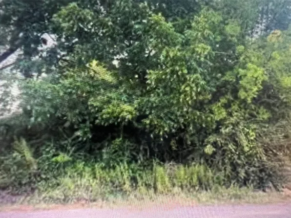 1927 Muncie Ave, Dallas, TX 75212