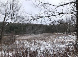 248 Hammerle Rd, Greene, NY 13778