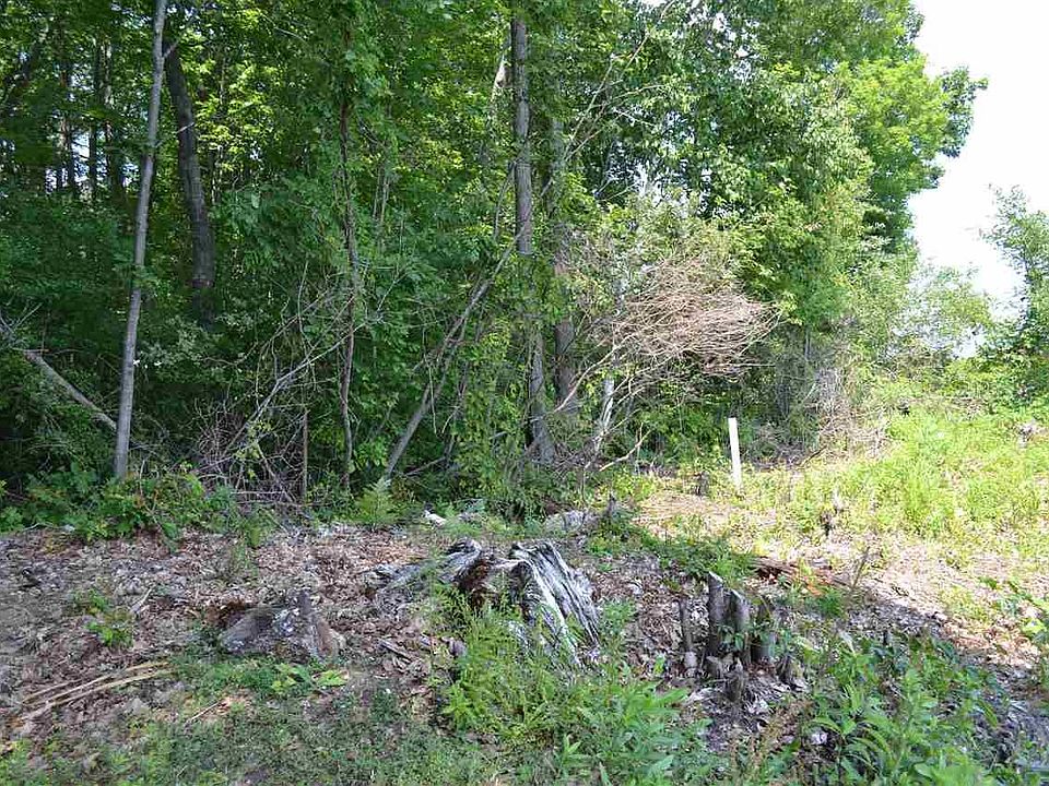 0 Cedar Lake Rd, Oscoda, MI 48750 MLS 1883122 Zillow