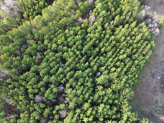 Dji Fly 20251228 154018 197 1766954808006 Photo Optimized