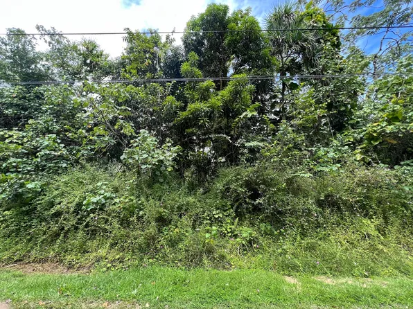 Moi St, Pahoa, HI 96778