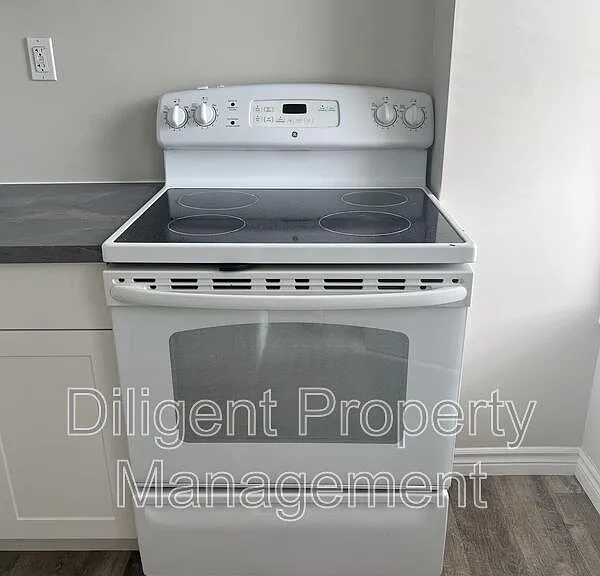 164 Stewart St #MAIN — Photo 5
