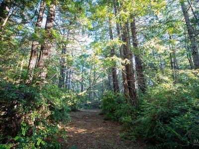 0 Zettler Rd, Pt Arena, CA, 95468
