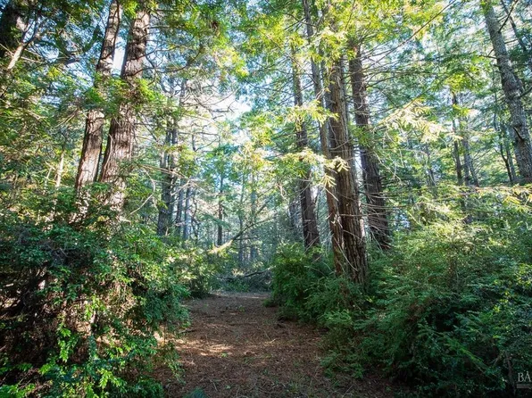 0 Zettler Road, Point Arena, CA 95468