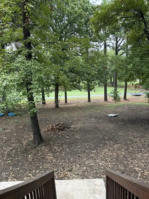 2 bed, 1000 sqft, $1,750 — Photo 4