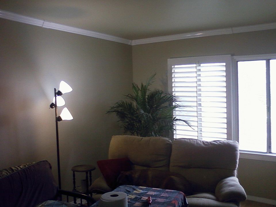 1st image of 7821 Zombar Ave