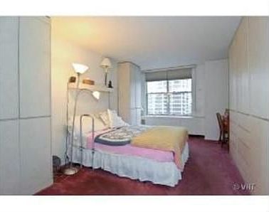 4th image of 400 E Randolph St APT 1128